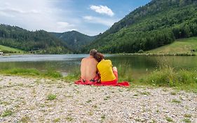 Chalet am Schneeberg